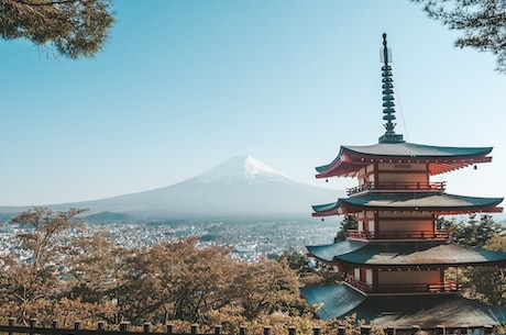 大和抚子(大和抚子：神秘而传奇的日本珍品)